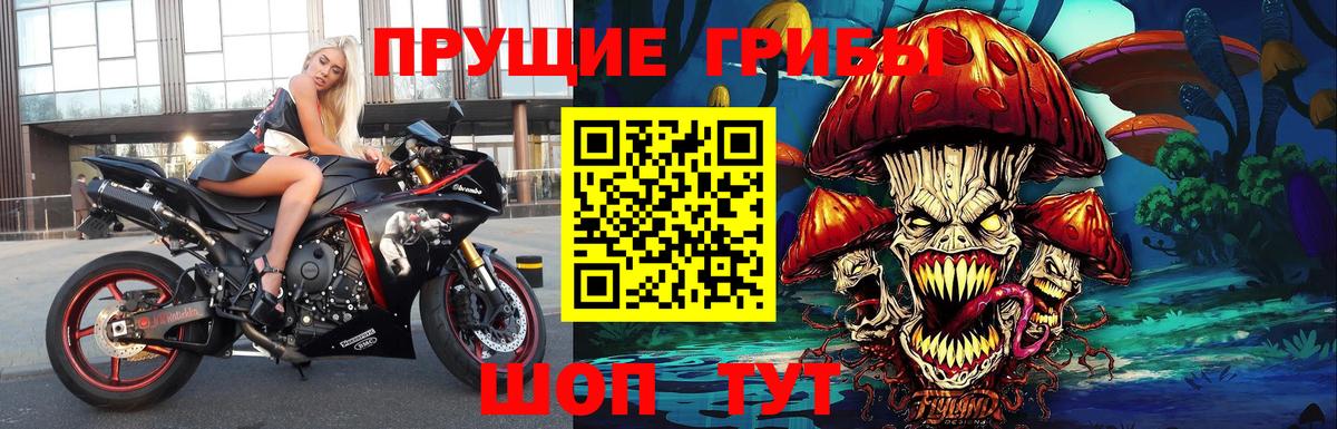Псилоцибиновые грибы мухоморы  где можно купить   Псилоцибиновые грибы GOLDEN TEACHER  Ухта  Вход с VPN 